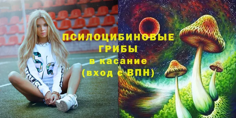 цены   Жуков  Галлюциногенные грибы GOLDEN TEACHER 